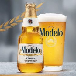 lizziesAxeThrowing_modelo